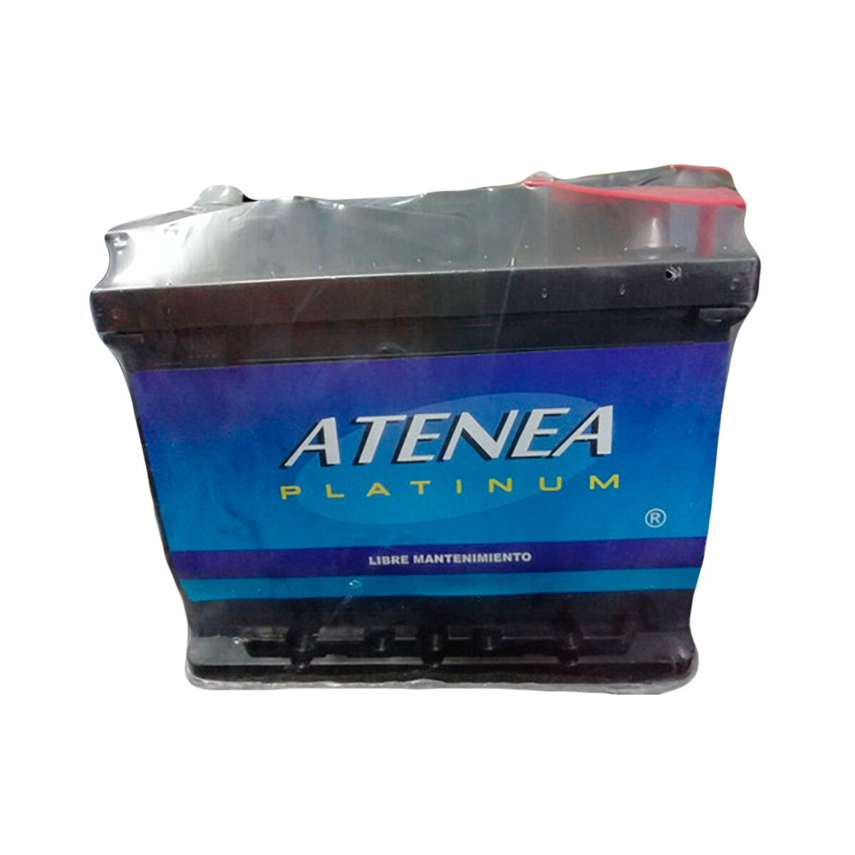 Atenea 12 x 55
