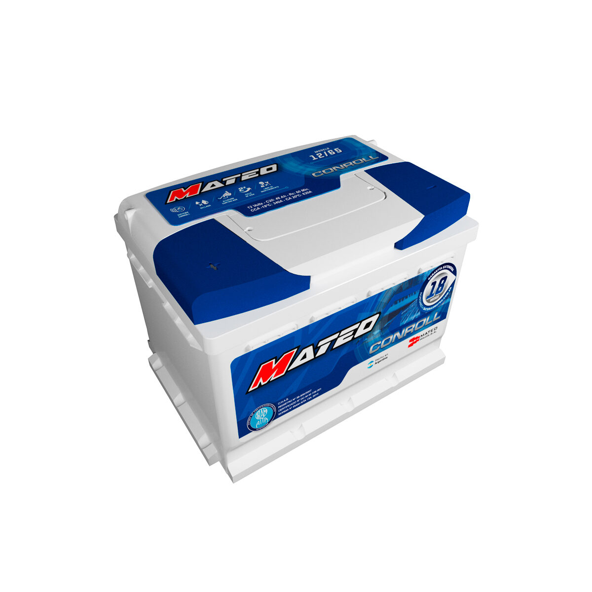 Mateo 12 x 65